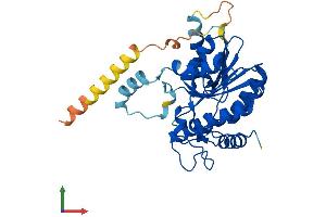 AlphaFold protein structure predicition of Mouse Recombinant Rdh14 Protein, UniprotID Q9ERI6