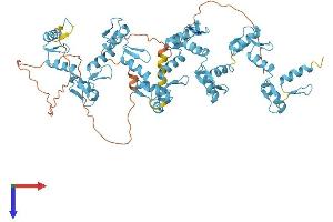AlphaFold protein structure predicition of Human Recombinant ZNF442 Protein, UniprotID Q9H7R0