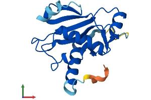 Protein Structure (PS) image for Ubiquitin-Conjugating Enzyme E2Q Family-Like 1 (UBE2QL1) (AA 1-161) protein (His tag) (ABIN7561850)