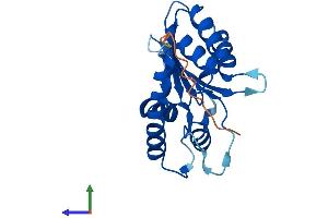 Protein Structure (PS) image for Apolipoprotein B mRNA Editing Enzyme, Catalytic Polypeptide-Like 3H (APOBEC3H) (AA 1-200) protein (His tag) (ABIN7551759)