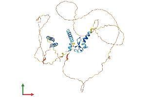 Protein Structure (PS) image for Integrator Complex Subunit 12 (INTS12) (AA 1-461) protein (His tag) (ABIN7560869)