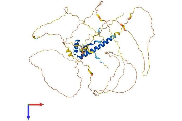 TOX Protein (AA 1-526) (His tag)