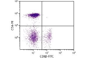 Chicken peripheral blood lymphocytes were stained with Mouse Anti-Chicken CD8β-FITC.