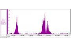 Histone H3K4me3 recombinant antibody (rAb) tested by ChIP-Seq  Chromatin immunoprecipitation (ChIP) was performed using the  High Sensitivity Kit  with 30 µg of human acute myelocytic leukemia chromatin and 4 µg of  Histone H3K4me3 antibody. (Rekombinanter Histone 3 Antikörper  (H3K4me3))