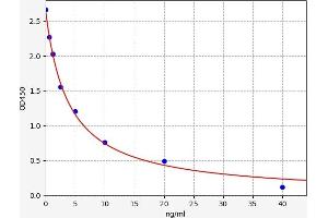 Enkephalin ELISA Kit