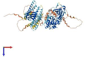 PKN3 Protein (AA 1-889) (His tag)
