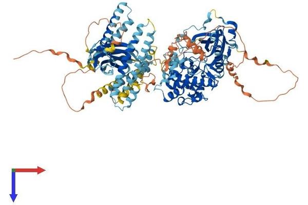 PKN3 Protein (AA 1-889) (His tag)