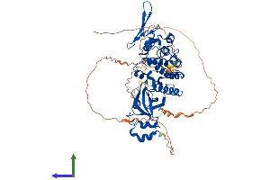 Protein Structure (PS) image for Dual-Specificity tyrosine-(Y)-phosphorylation Regulated Kinase 2 (DYRK2) (AA 1-601) protein (His tag) (ABIN7553733)