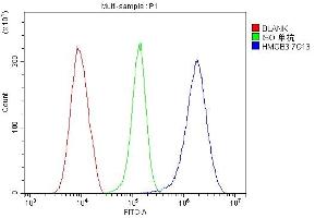 Flow Cytometry analysis of Hela cells using anti-HMGB3 antibody (ABIN7603126). (HMGB3 Antikörper  (N-Term))
