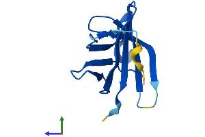 Protein Structure (PS) image for T-Cell Leukemia/lymphoma 1A (TCL1A) (AA 1-114) protein (His tag) (ABIN7544392)
