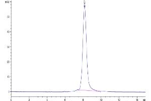 Size-exclusion chromatography-High Pressure Liquid Chromatography (SEC-HPLC) image for Leukocyte Immunoglobulin-Like Receptor, Subfamily B (With TM and ITIM Domains), Member 1 (LILRB1) (AA 1-474) protein (His tag) (ABIN7275158)