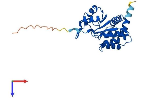 CDKN3 Protein (AA 1-212) (His tag)