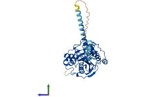 Protein Structure (PS) image for UDP-Gal:betaGlcNAc beta 1,4-Galactosyltransferase, Polypeptide 6 (B4GALT6) (AA 1-382) protein (His tag) (ABIN7552600)