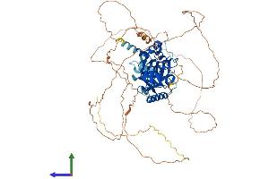 AlphaFold protein structure predicition of Human Recombinant FAM169A Protein, UniprotID Q9Y6X4