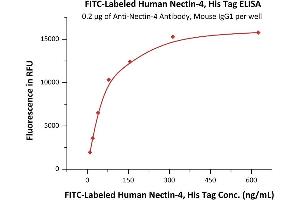Immobilized An-4 Antibody, Mouse IgG1 at 2 μg/mL (100 μL/well) can bind Fed Human Nectin-4, His Tag (ABIN6973169) with a linear range of 10-78 ng/mL (QC tested). (PVRL4 Protein (AA 32-349) (His tag,FITC))