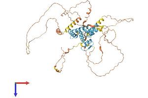 ZSCAN18 Protein (AA 1-510) (His tag)