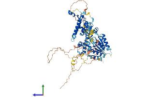 AlphaFold protein structure predicition of Human Recombinant RAD17 Protein, UniprotID O75943 (RAD17 Protein (RAD17) (AA 1-681) (His tag))