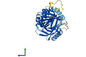 AlphaFold protein structure predicition of Human Recombinant SERPINB11 Protein, UniprotID Q96P15
