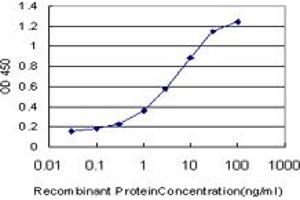 Detection limit for recombinant GST tagged RIPK2 is approximately 0. (RIPK2 Antikörper  (AA 431-540))