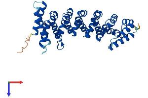 CAB39L Protein (AA 1-337) (His tag)