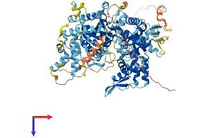 GPAT2 Protein (AA 1-801) (His tag)