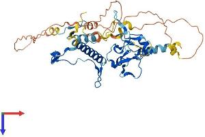 DPF1 Protein (AA 1-387) (His tag)