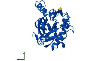 Protein Structure (PS) image for IPP Isomerase 2 (IDI2) (AA 1-227) protein (His tag) (ABIN7558510)