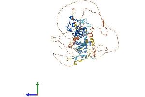Protein Structure (PS) image for PHD Finger Protein 15 (PHF15) (AA 1-829) protein (His tag) (ABIN7558145)