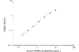 ELISA image for Nephrosis 1, Congenital, Finnish Type (Nephrin) (NPHS1) ELISA Kit (ABIN6962998)