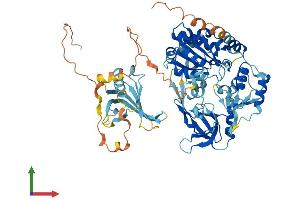 Protein Structure (PS) image for PIF1 5'-To-3' DNA Helicase (PIF1) (AA 1-650) protein (His tag) (ABIN7564224)