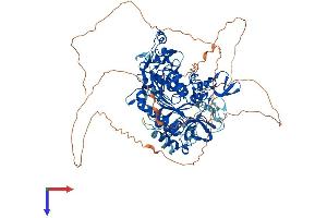 DNMT3B Protein (AA 1-853) (His tag)