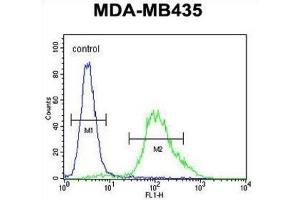 Flow Cytometry (FACS) image for anti-Zinc Finger Protein 98 (ZNF98) antibody (ABIN2995694) (ZNF98 Antikörper)