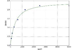 CKLF-Like MARVEL Transmembrane Domain Containing 6 (CMTM6) ELISA Kit