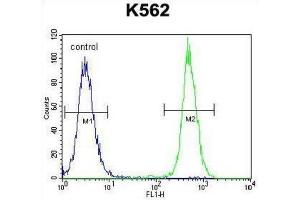Flow Cytometry (FACS) image for anti-Keratin 25 (KRT25) antibody (ABIN2996108) (Keratin 25 Antikörper)
