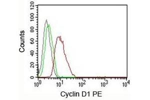 FACS testing of MCF-7 cells: Black=cells alone (Cyclin D1 Antikörper)