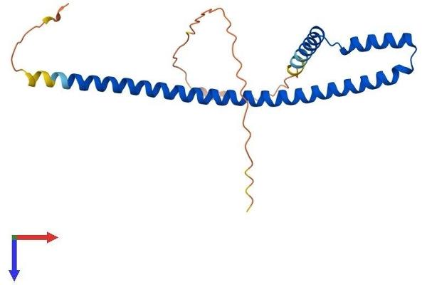 AES Protein (AA 1-197) (His tag)