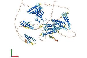 Protein Structure (PS) image for Coiled-Coil and C2 Domain Containing 1A (CC2D1A) (AA 1-943) protein (His tag) (ABIN7564621)