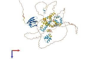 Ubiquilin 3 Protein (UBQLN3) (AA 1-655) (His tag)