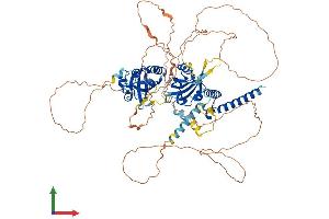 Protein Structure (PS) image for Single-Minded Homolog 1 (SIM1) (AA 1-765) protein (His tag) (ABIN7557653)