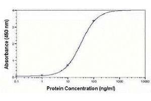 ELISA image for anti-Low Density Lipoprotein (LDL) antibody (ABIN2467932)