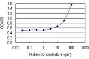 EPHA2 (Human) Matched Antibody Pair