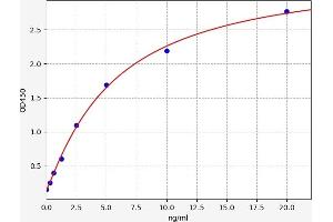 Typical standard curve