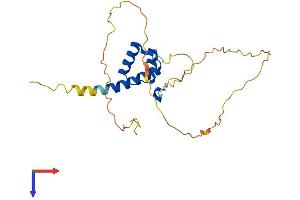 HOXB6 Protein (AA 1-224) (His tag)