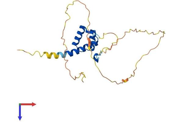 HOXB6 Protein (AA 1-224) (His tag)