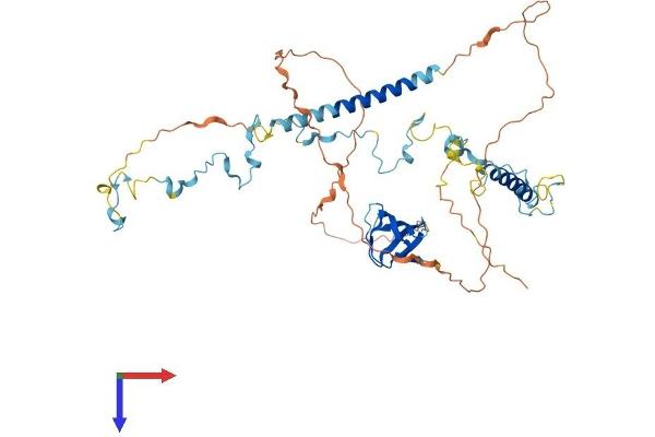 HCLS1 Protein (AA 1-486) (His tag)