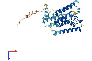 RHBDL2 Protein (AA 1-302) (His tag)