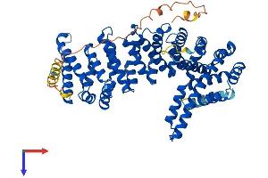 CTNNBL1 Protein (AA 1-563) (His tag)