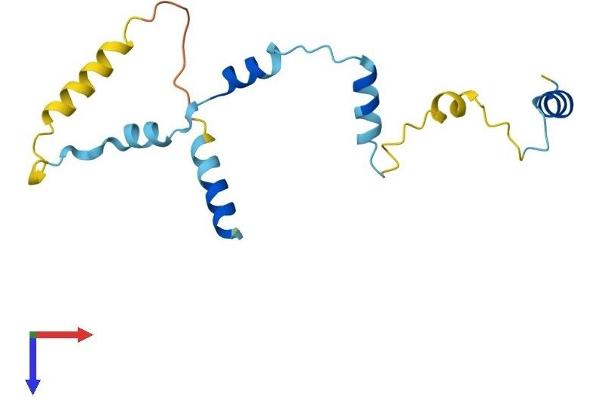 RPS19BP1 Protein (AA 1-143) (His tag)