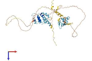 SP100 Protein (AA 1-482) (His tag)