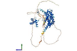 Protein Structure (PS) image for Telomeric Repeat Binding Factor 2 (TERF2) (AA 1-541) protein (His tag) (ABIN7562271)